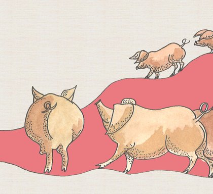 Inka Hagen Schweine pigs