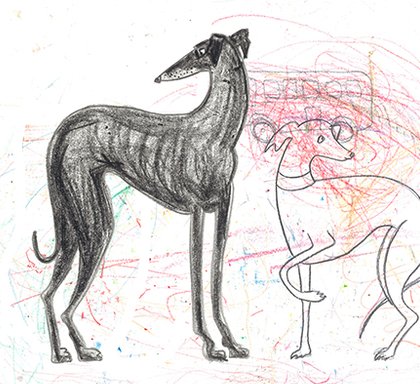greyhound illustration